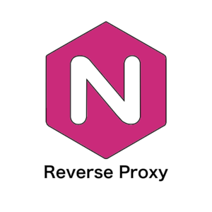 reverse proxy