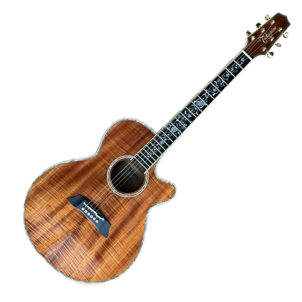 TAKAMINE DMP100K N