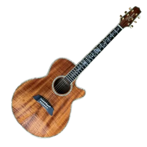 TAKAMINE DMP100K N