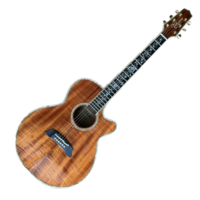 TAKAMINE DMP100K N