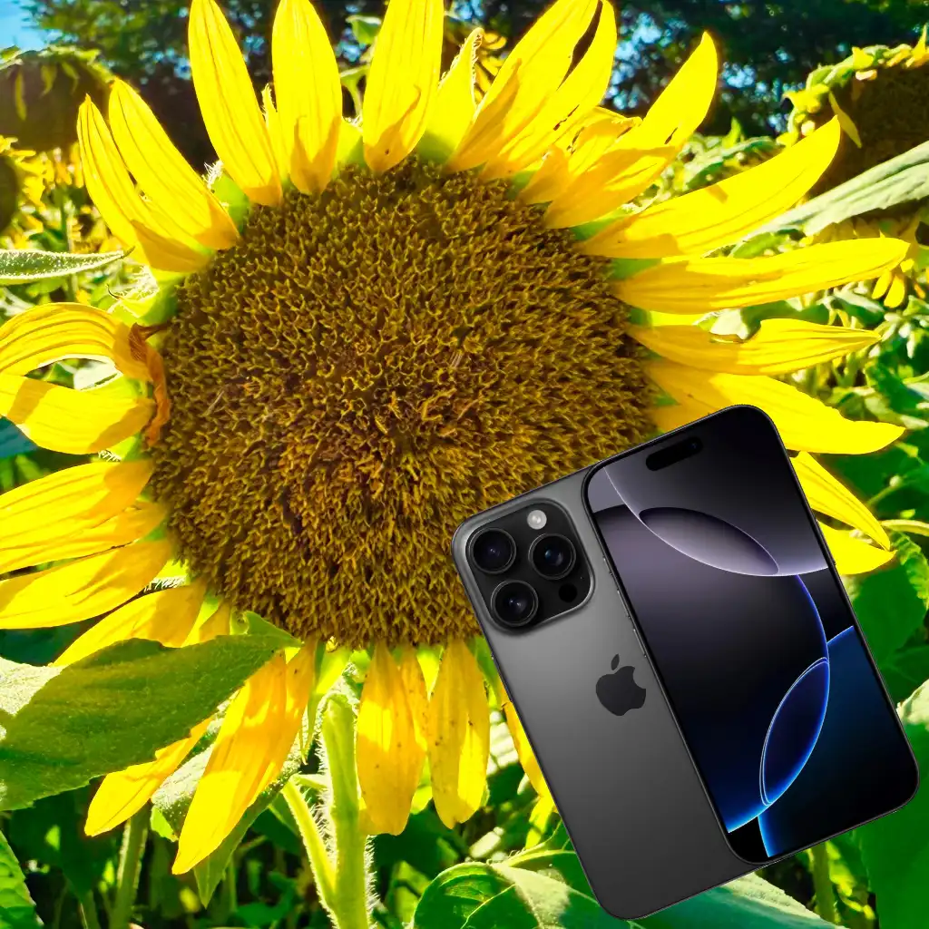 作例ギャラリー iPhone16proMAX