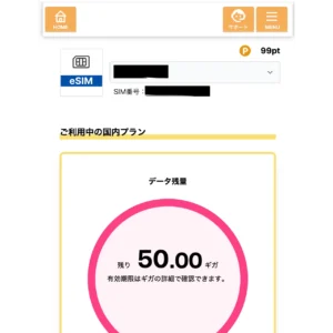 e-sim 登録と開通