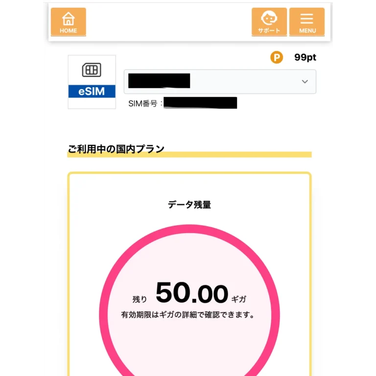 e-sim 登録と開通